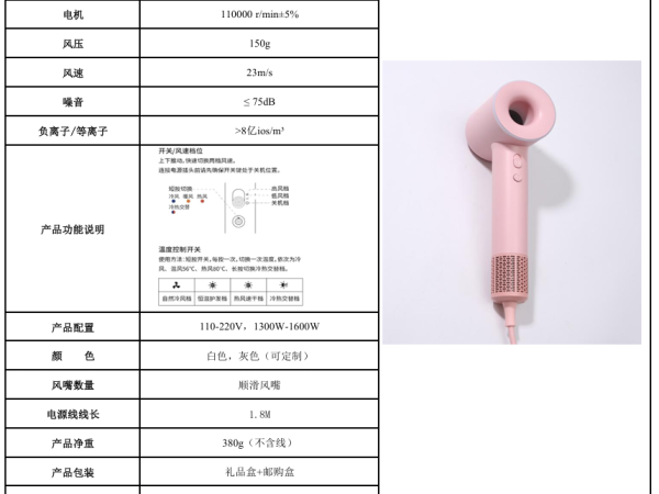 LF-M019 高速吹风机